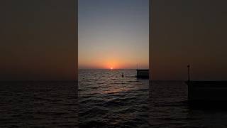 Opacarophile🌞youtubeshorts shortfeed shortvideo redsea jeddahcorniche [upl. by Searle]