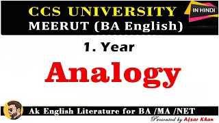 Analogy In English Literature  Definition of Analogy  Analogy In Hindi [upl. by Danita]