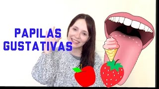 Papilas gustativas [upl. by Talich464]