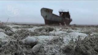 Aral Sea Cotton Environmental Disaster Lethal Pesticides [upl. by Loss]