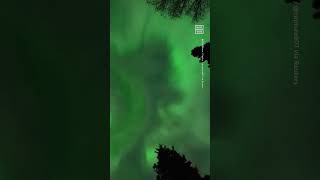 Timelapse Shows Spectacular View of Northern Lights in Anchorage [upl. by Darce840]