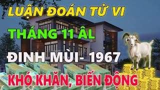 Tử vi tuổi ĐINH MÙI 1967 tháng 11 âm lịch KHÔNG HỀ DỄ DÀNG RẤT NHIỀU BIẾN ĐỘNG [upl. by Aleit]