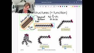 Triglyceride Structure and Function [upl. by Lorrimor]