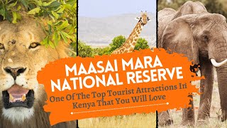 Maasai Mara National Reserve One Of The Top Tourist Attractions In Kenya That You Will Love 🥰 [upl. by Naveb268]