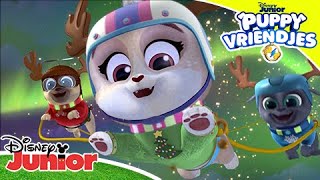 Puppy Vriendjes  Een kerstman voor Bob 🎅🎶  Disney Junior BE [upl. by Titos]