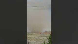 Landspout Forms in Northern Colorado Amid Severe Storms [upl. by Chessy]