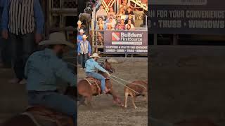 Fiesta Days Rodeo Team Roping [upl. by Esor]