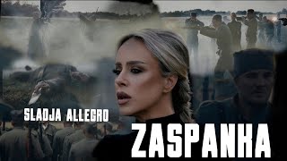 Sladja Allegro ZASPANKA OFFICIAL VIDEO 2024 [upl. by Eibur]