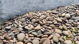 Pebbles  wholesale price  Pebble shop visit  1 kg 12 ₹  Garden Outdoor Table I AMBADY PEBBLES 🔥 [upl. by Bianca]