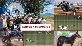 ASÍ FUE El COMPROMISO EN OBREGÓN SONORA🔥🏆🌧️🤠🔥💨carreras de bestias mularesranchero95 [upl. by Ahseniuq]