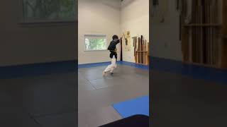 Matayoshi Kobudo Association Intl Shodan Test  Tonkuwa Dai Ichi [upl. by Suedaht490]