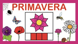 PRIMAVERA 🌷 Vocabulario 🌸 ARASAAC [upl. by Mode]