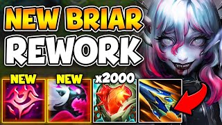 NEW BRIAR REWORK CHANGES EVERYTHING SHES AN UNKILLABLE TANK NOW [upl. by Shellans]