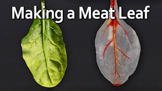 A Leaf Made of Meat [upl. by Rodie]