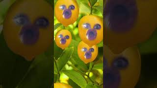 Blue Raspberry 🫐 trending whatsappstatus comedy funny thimingalam tamil funjoks comedyfilms [upl. by Samantha]