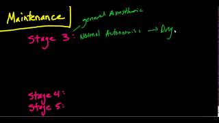 The Stages of Anesthesia The Basics Guedels Classificaiton [upl. by Mathilde]