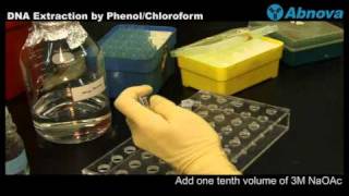 DNA Extraction by Phenol Chloroform [upl. by Neih162]