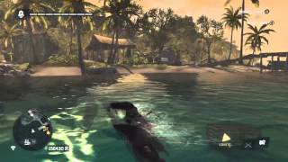 How to Get Elite Harpoon  Assassins Creed 4 [upl. by Meri]