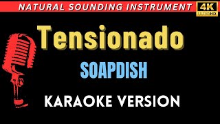 Tensionado  Soapdish HD Karaoke Version [upl. by Ednarb206]