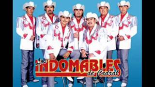 Los Indomables de Cedral  La ausencia de tu amor [upl. by Naesed]