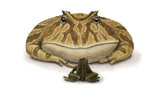 Prehistoric News  Devil Frog had Spikes and Armor [upl. by Caleb217]