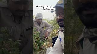 Jungle Mini Vlog short viral trending vlog wildlife police [upl. by Yleik]