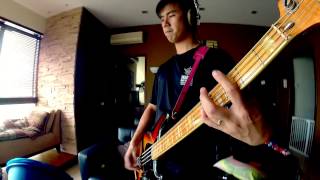 Still Into You Bass Cover  Paramore [upl. by Nylrahs565]