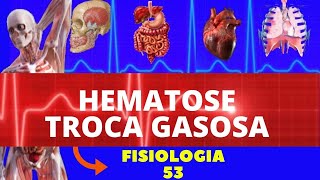 HEMATOSE TROCA GASOSA  PERFUSÃO VENTILAÇÃO  FISIOLOGIA HUMANA  FISIOLOGIA DE GUYTON [upl. by Ronnoc2]