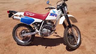 1991 Honda XR250L walkaround and start up [upl. by Bronny]