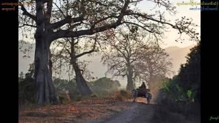 Saung Hlaing Win MaungMyanmar harp melody of quotYar Thi Thaw Ooquot [upl. by Eanrahs396]