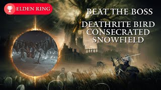 Elden Ring Beat the Boss Deathrite Bird Consecrated Snowfield [upl. by Roxie]