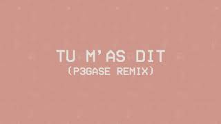 Louane  Tu mas dit P3gase remix Visualizer [upl. by Brieta76]