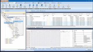 Forensic Explorer  Convert AD1 to L01 [upl. by Rebane427]