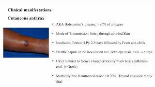 Anthrax Bacillus anthracis [upl. by Nandor]