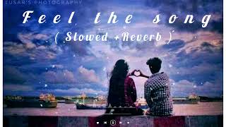 Feel the song  Slowed And Reverb   Arijit Singh New Lofi Song  Love Song  itx Amit yt [upl. by Repinuj]