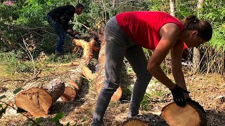 Clearing land What we do with piles of branches [upl. by Codd]