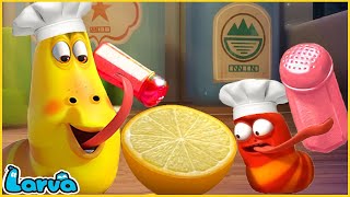 LARVA SEASON 2 EPISODE Chef  COMICS  MINI SERIES FROM ANIMATION [upl. by Nolrev503]