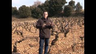 LAURENT CHARVIN A CHÂTEAUNEUFDUPAPE by LOTEL DU VIN [upl. by Old]