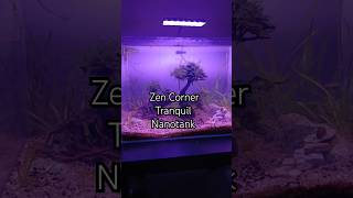 40cm nano planted tank aquascape moss co2 riversand aquarium nanotankshrimptank like follow [upl. by Ajad956]