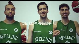 LA PRESENTAZIONE DELL AVELLINO BASKET 20242025 [upl. by Landsman]