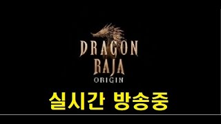 드래곤라자오리진 신서버 피닉스 게스트 계정 날라감 주식과 게임 드래곤라자오리진 드래곤라자 신서버 모바일게임 mmorpg [upl. by Akital]