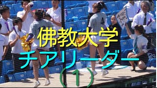 決勝戦 熱演 チアリーダー 佛教大学 その1 [upl. by Erdnassak150]