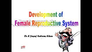 Development of the Female Reproductive System  Dr Yusuf [upl. by Harod]