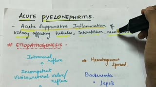 Acute Pyelonephritis  Pathology  Handwritten notes [upl. by Eegnat]