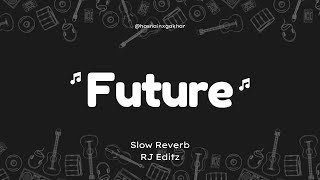 FUTURE  R Nait  Slowed  Reverb  RJ Editz [upl. by Aiza]