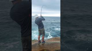 Bonito season  rock fishing Sydney fishingvideo fishing sydneykingfish [upl. by Nichole]