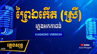 ព្រៃឯកើត ស្រី ភ្លេងសុទ្ធ  Prey E Kert  By Kula KaraokeVersion [upl. by Akalam]