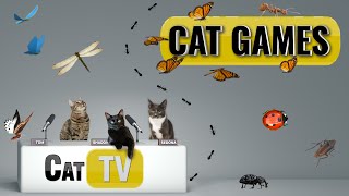 CAT Games  Ultimate Cat TV Bugs and Butterflies Compilation Vol 6 🐝🐞🦋🦗🐜  Videos For Cats to Watch [upl. by Mairem]