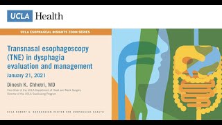 Transnasal Esophagoscopy TNE in Dysphagia Evaluation and Management  Dinesh K Chhetri MD  UCLA [upl. by Merry957]