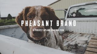 Pheasant Hunting with American Brittanys  Pheasant Brand  Dogtra ECollars [upl. by Kelda]